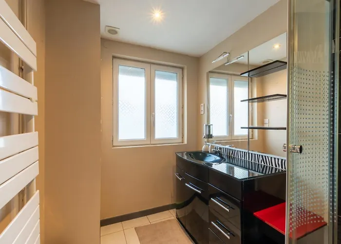 T4 Au Coeur De Tarbes